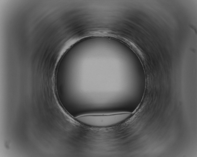 X0000092001432200709061232