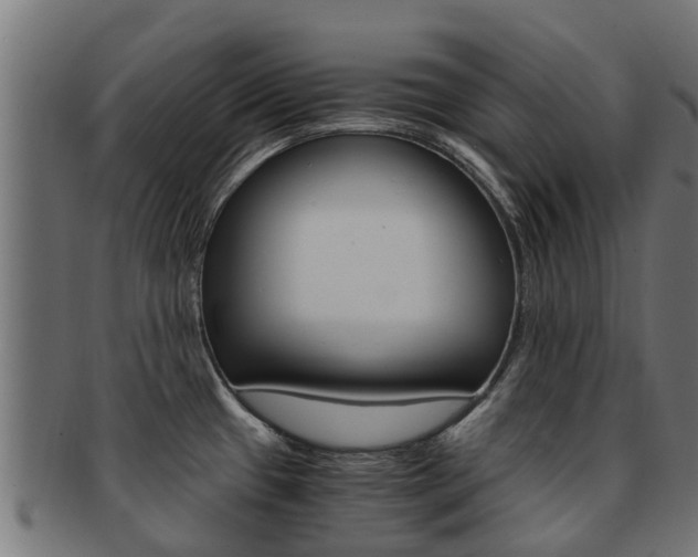X0000092001433200709061232