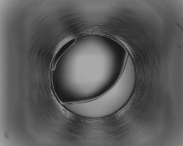 X0000092001434200709061232