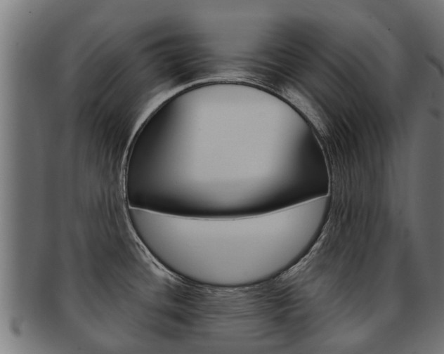 X0000092001436200709061232