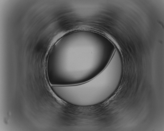 X0000092001437200709061232