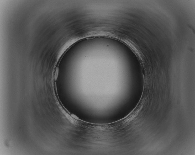 X0000092001438200709061232