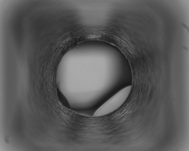 X0000092001441200709061231