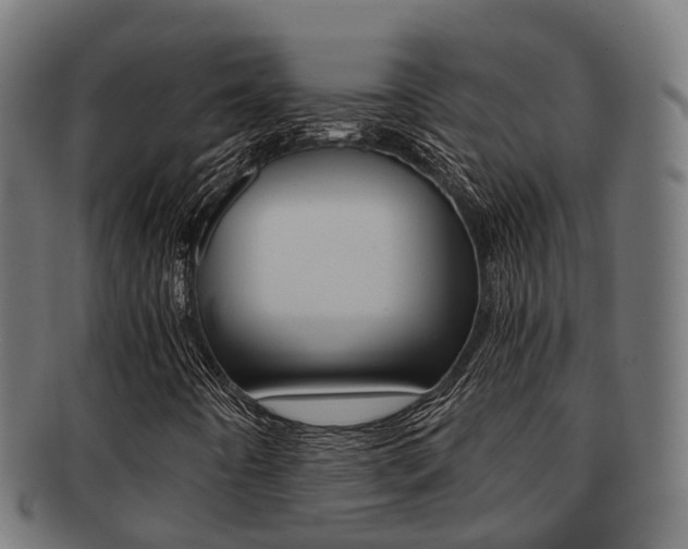 X0000092001442200709061231