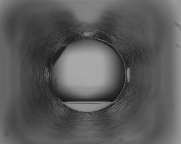 X0000092001443200709061231