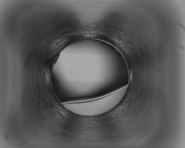 X0000092001444200709061231