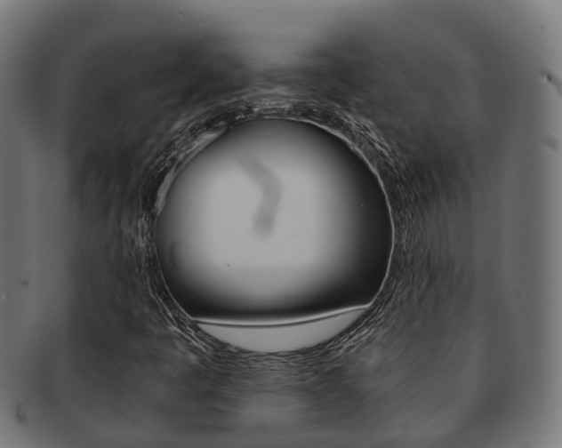 X0000092001445200709061231