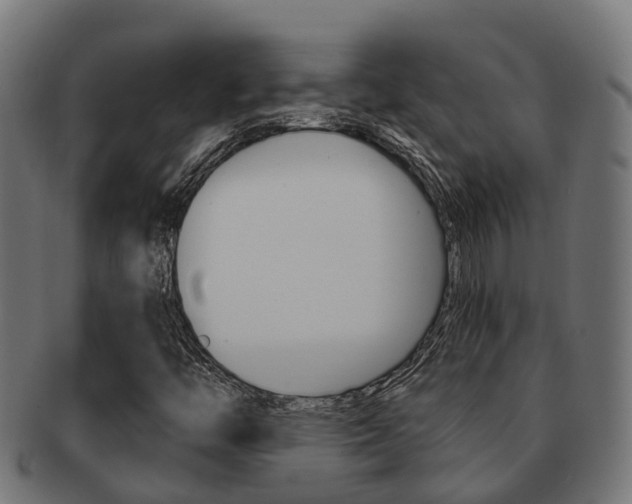 X0000092001446200709061231