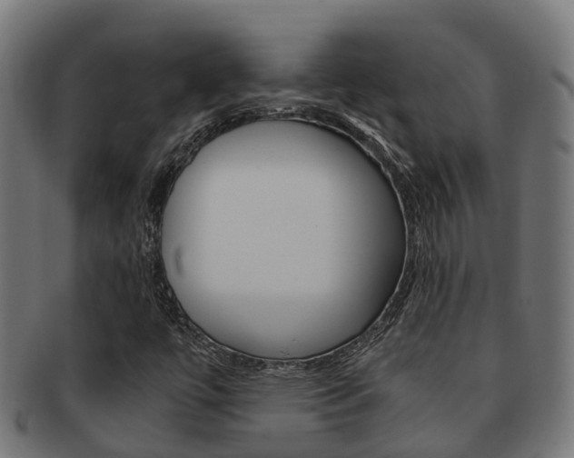 X0000092001447200709061231