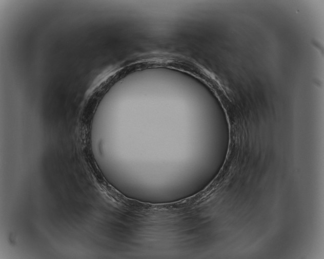X0000092001448200709061231