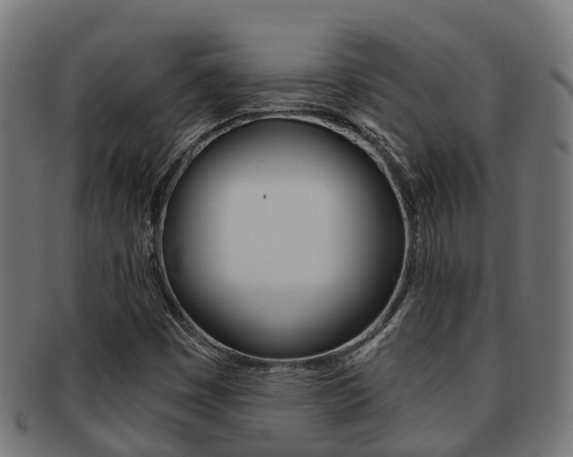 X0000092001449200709061231