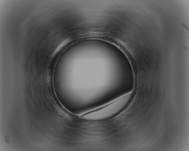 X0000092001450200709061231