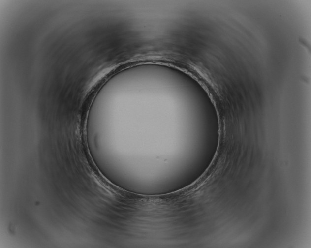 X0000092001452200709061231
