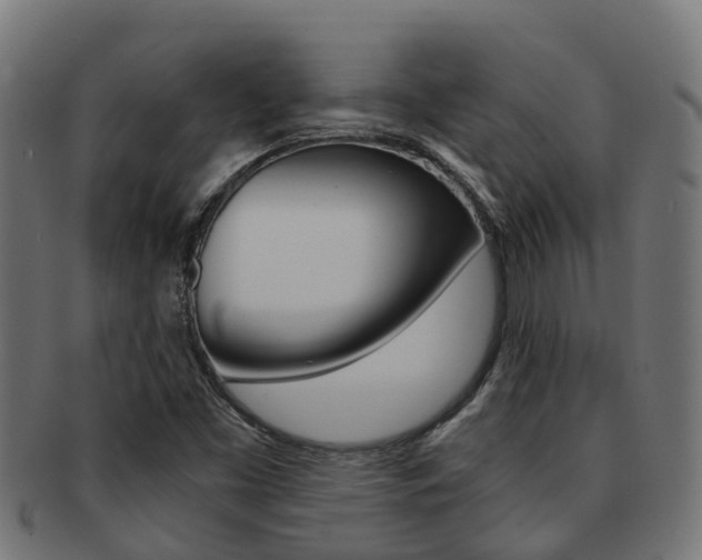 X0000092001453200709061231