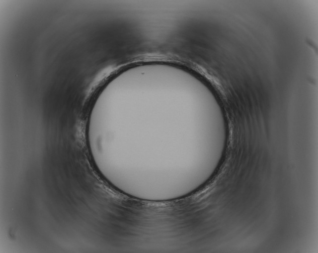 X0000092001454200709061231