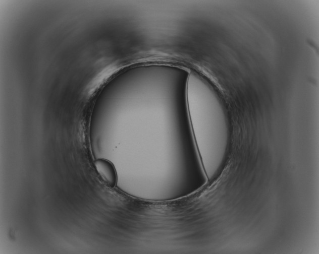X0000092001455200709061231