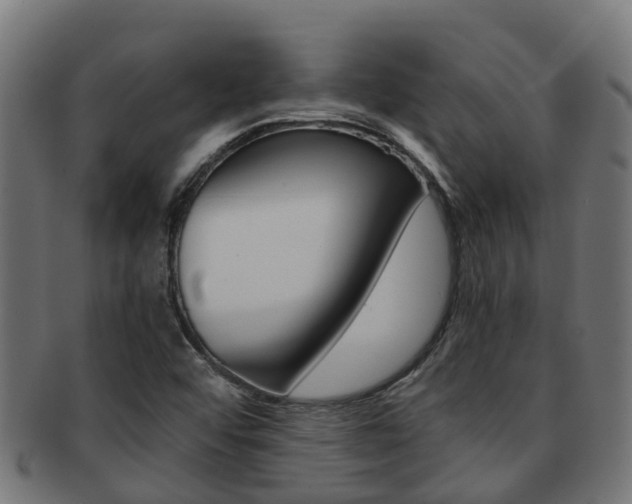 X0000092001456200709061231