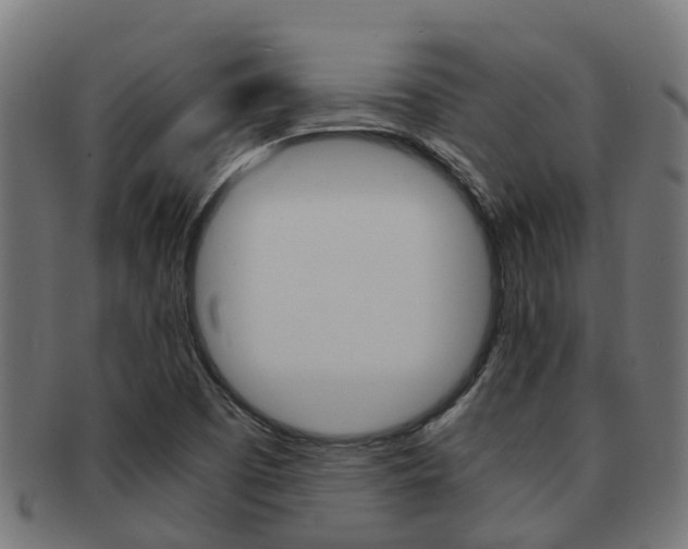 X0000092001457200709061231