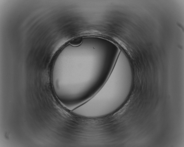 X0000092001458200709061231