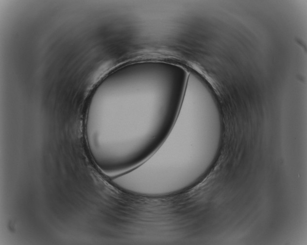 X0000092001459200709061231