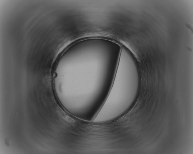 X0000092001460200709061231