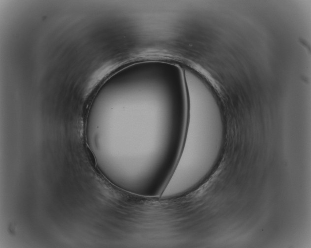 X0000092001461200709061231