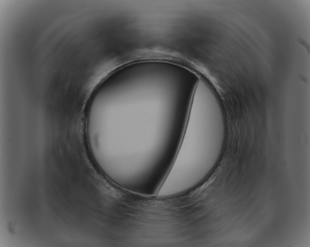 X0000092001463200709061231