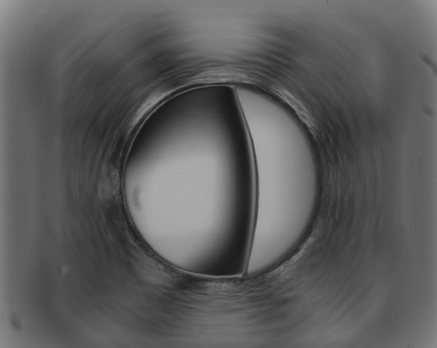 X0000092001465200709061231