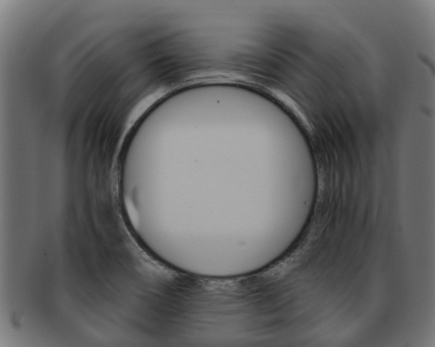 X0000092001466200709061231