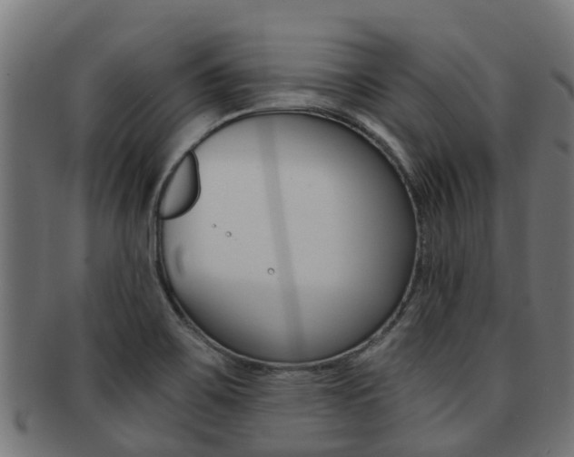 X0000092001467200709061231