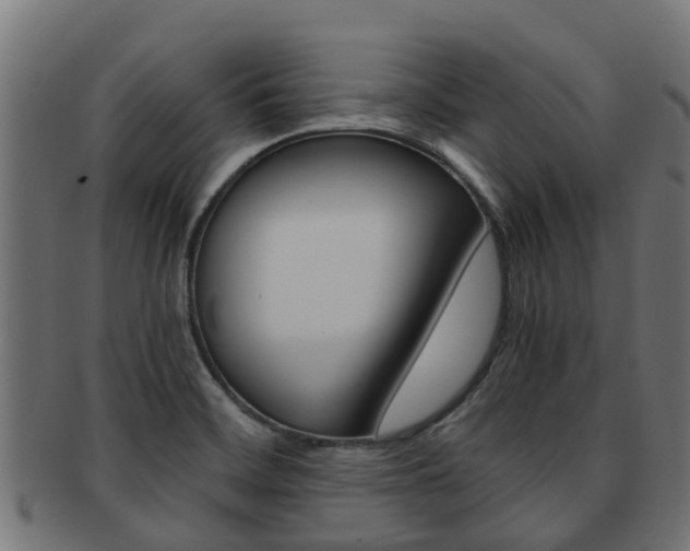 X0000092001468200709061231