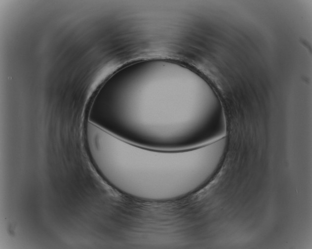 X0000092001469200709061231