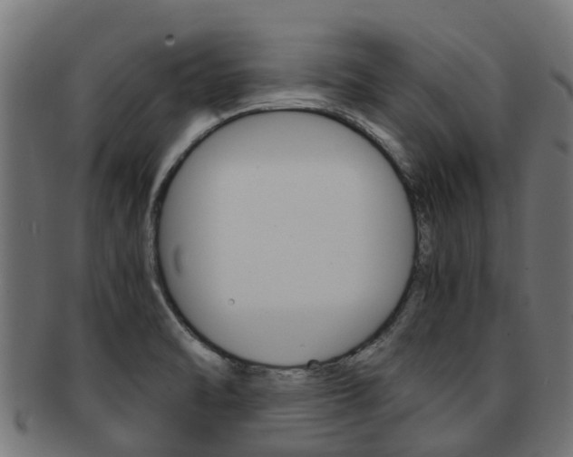 X0000092001470200709061231