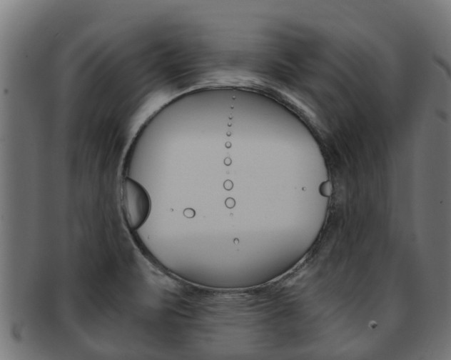 X0000092001471200709061231