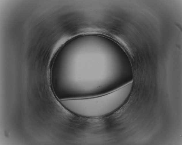 X0000092001472200709061231