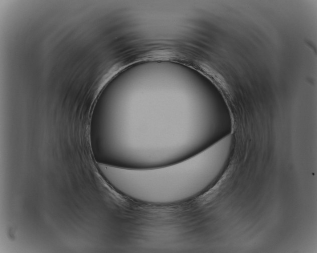X0000092001473200709061230