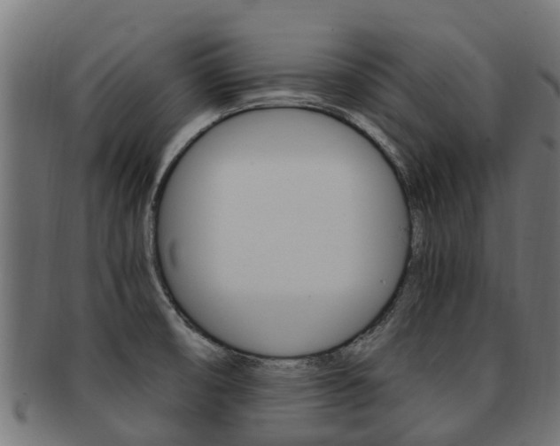 X0000092001474200709061230