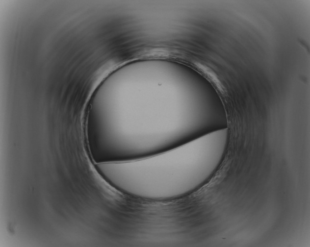 X0000092001475200709061230