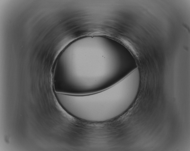 X0000092001476200709061230