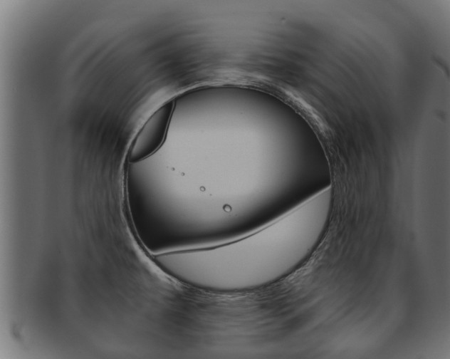 X0000092001479200709061230