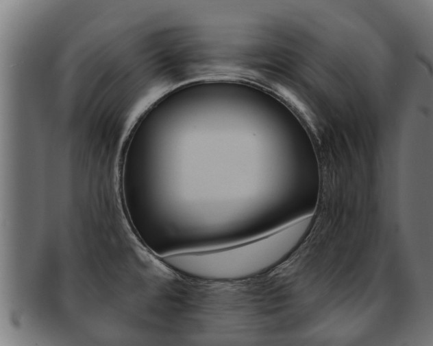 X0000092001480200709061230