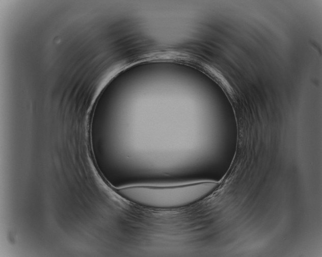 X0000092001483200709061230