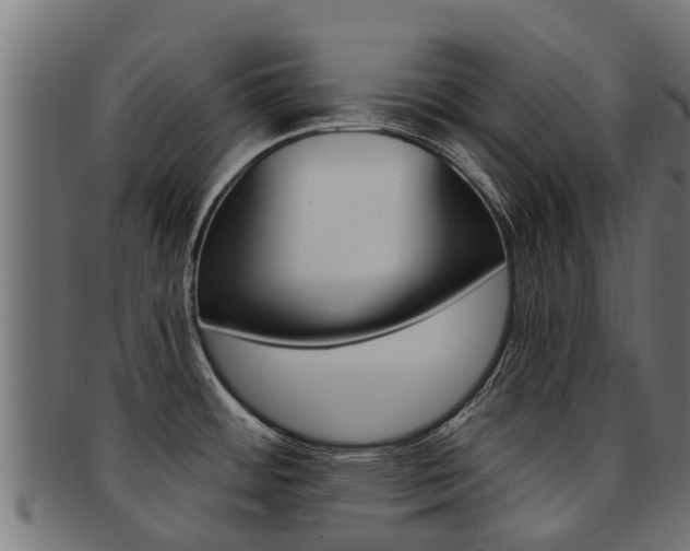 X0000092001484200709061230