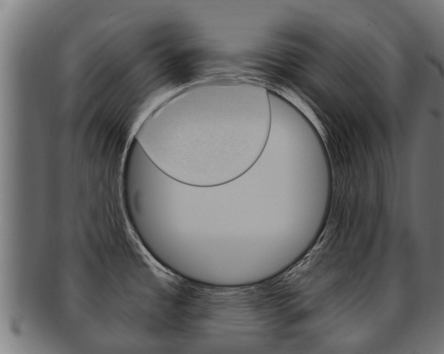 X0000092001485200709061230