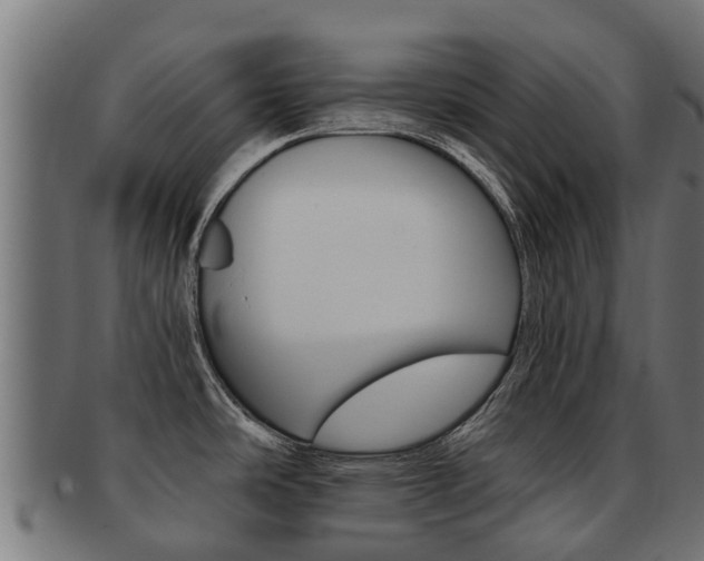 X0000092001486200709061230