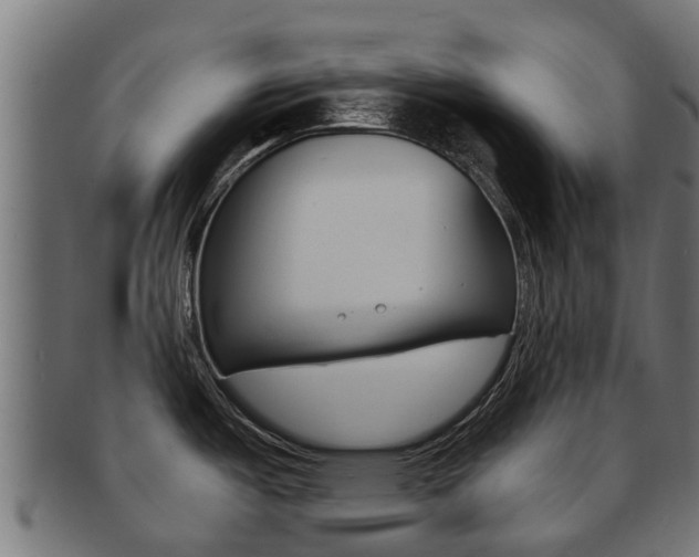 X0000092001487200709061230