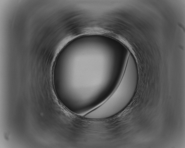X0000092001488200709061230