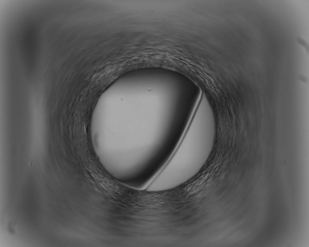 X0000092001489200709061230