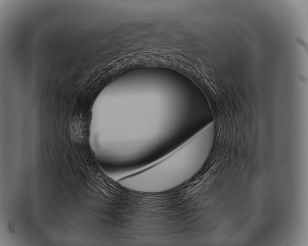 X0000092001490200709061230