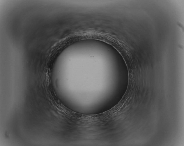 X0000092001493200709061230